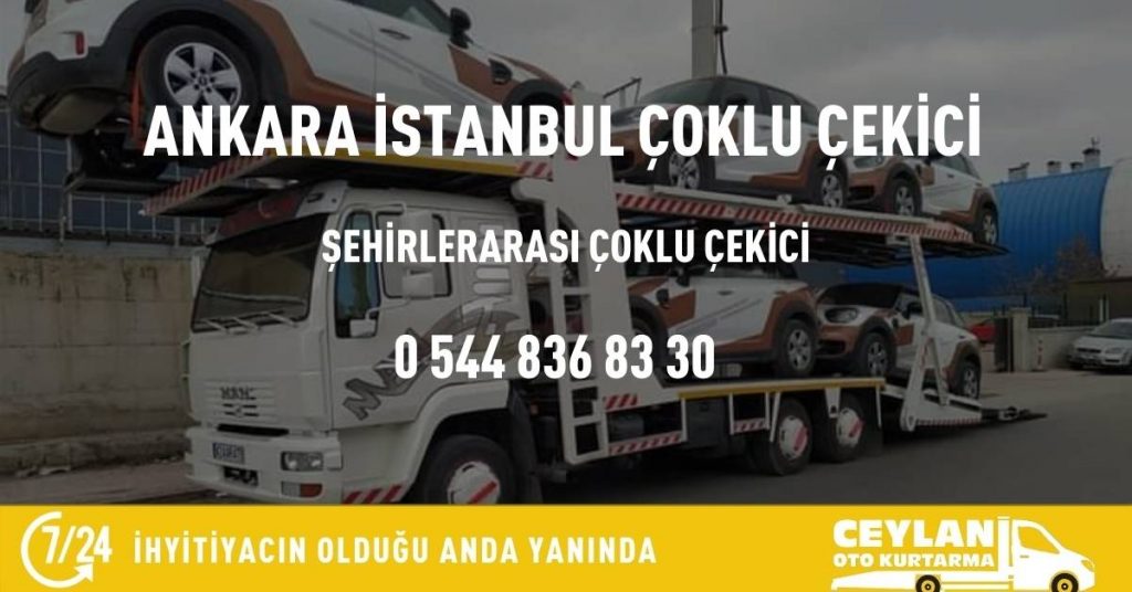Ankara İstanbul Çoklu Çekici (1)