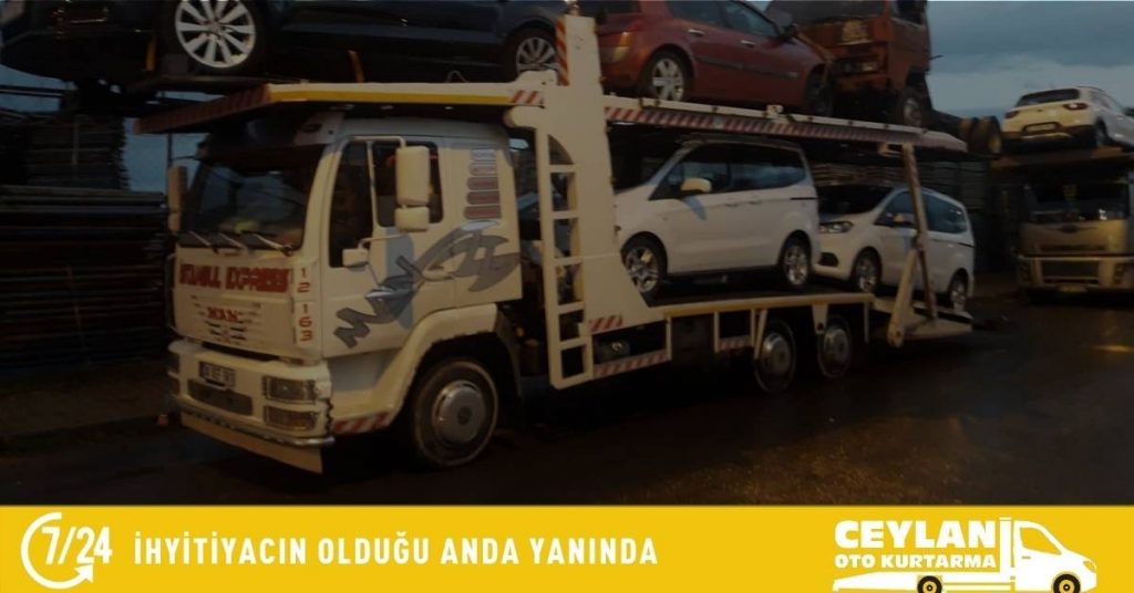 Ankara İstanbul Çoklu Çekici (1)
